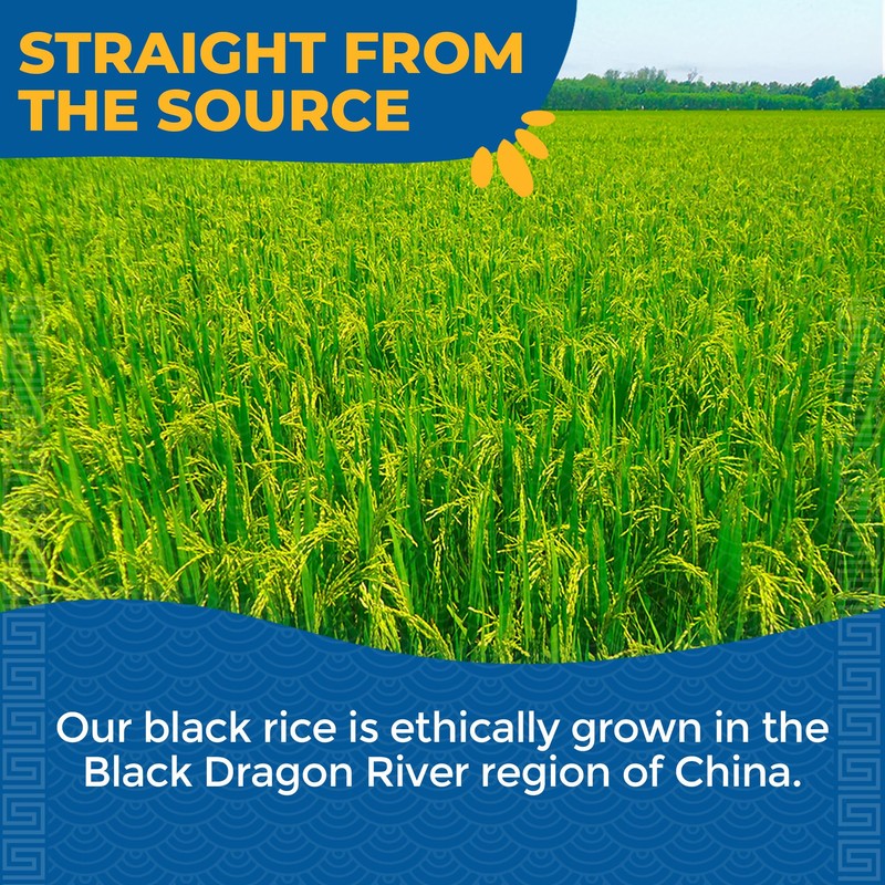 Lotus Foods Heirloom Forbidden Rice - Black Rice, Purple Rice,