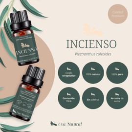 Aceites Esenciales de Incienso Aromaterapia - Natural 100% de Aceite Esencial Natural Conjunto de Difusores y Humidificadores con Caja de Regalo Exquisita (UVa Natural, 10 ML) (Incienso)