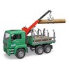 Bruder 02769 Man Timber Truck with Loading Crane and 3
