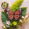 HAPPILY PLANTS Insect Keychains - Monarch Butterfly Keychain