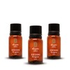OLEUM VITAE 3x 2 Aceite Esencial De Orégano 100% Puro