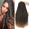 Dansama Passion Twist Hair Water Wave Braiding Hair for Butterfly