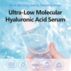 Isntree [Isntree]Ultra-Low Molecular Hyaluronic Acid Serum 50ml