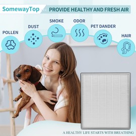 [1 Pack] HE400 Filter Replacements Compatible with Shark air purifier 4 with Advanced Odor Lock HE400 HE401 HE402 HE405, 3-in-1 Filtration H13 True HEPA, H13 HEPA, Carbon and Pre-Filter, Remove Odor