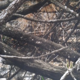 exact fit 2008 and Up Kubota Seat Covers for tractor MX4800,MX5000,MX5200 in Lost AT Camo