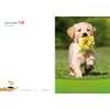 Edition Colibri XL Birthday Card Dog with Flower: Funny Birthday