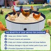 Upgraded Chicken Dust Bath Tub - New Foldable Design, Extra