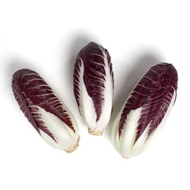 Trevisano, 10 Count, Average 10 Pounds Case, Burgundy and White Leaves, Fresh and Crisp