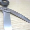 Cell For Your Food Scissors Carving. Sum – 1400 Black