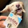 Soopa Banana & Pumpkin PUPPY Dental Sticks