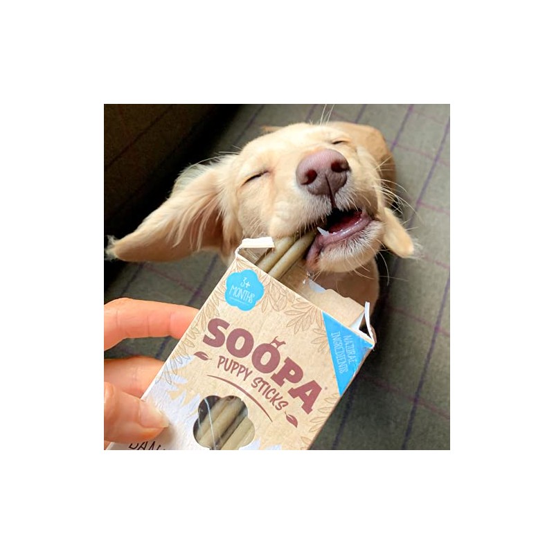 Soopa Banana & Pumpkin PUPPY Dental Sticks