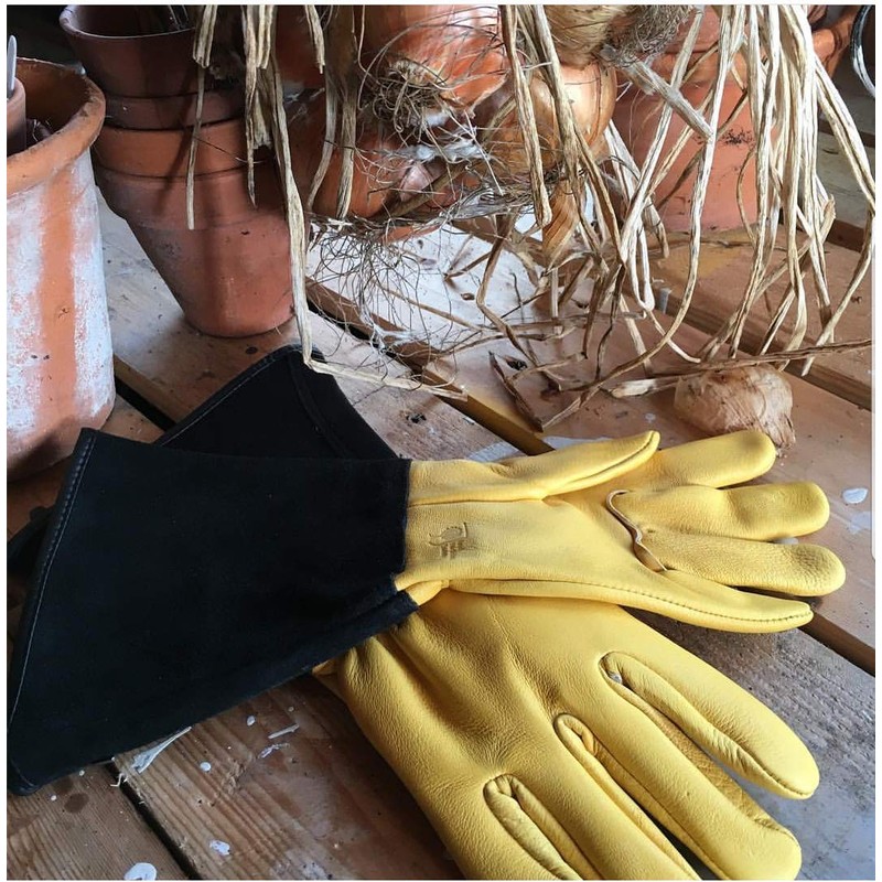 Gold Leaf TOUGH TOUCH Deluxe Deerskin Leather RHS Thorn Resistant