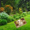 LimCryspp Natural Foraging and Biting Toy Box, an Interactive Biting