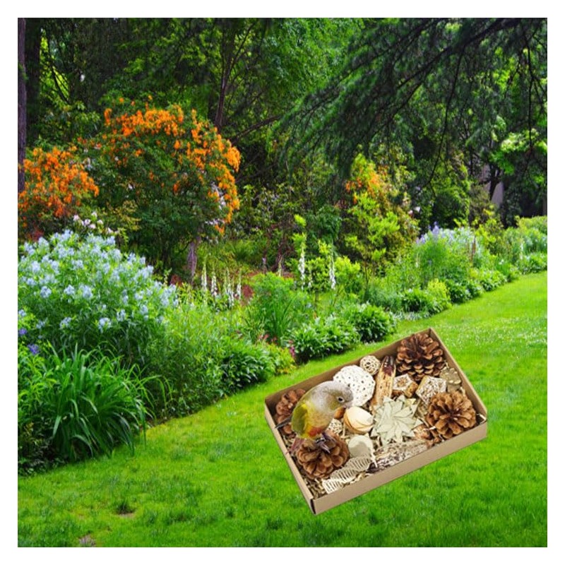 LimCryspp Natural Foraging and Biting Toy Box, an Interactive Biting