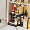 BOIVSHI Pull Out Spice Racks for Inside Cabinets, 2-Tier Cabinet