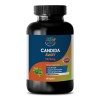 CANDIDA AWAY Digestion Help Dietary Supplement Probiotic 1 Bottle -