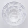 Saikaitoki 13200 Common Tumbler, Clear