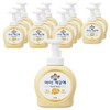 I'm Clean Antibacterial Foam Hand Soap Purely Fluffy Powder Scent, 490ml, 12 Pieces / 아이깨끗해 항균 폼 핸드솝 순 보송보송 파우더향, 490ml, 12개