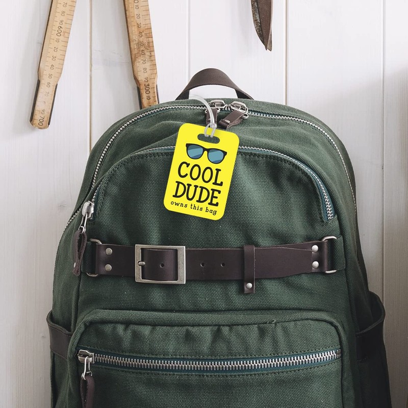 LT148 Cool Dude Owns This Bag Novelty Funny Unique Designer