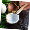 FELTECHELECTR Stainless Steel Coconut Meat Remover Grater Tool Ergonomic Coconut