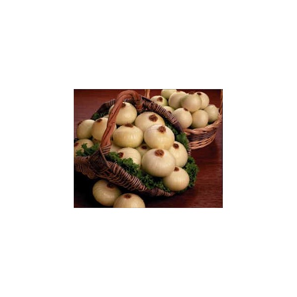Vidalia Sweet Onions - 10 LB