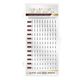 NAGARAKU Spikes Eyelash Extensions Wispy Lash Premade Fan Matte Black Individual Ellipse Spikes Fans Fairy Eyelashes DIY Cluster Classic Lash Professional Supplies for Lash Techs -0.07mm D Curl 12mm