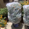 Agfabric Bird Netting 72" Hx72 W Garden Netting Insect Pest