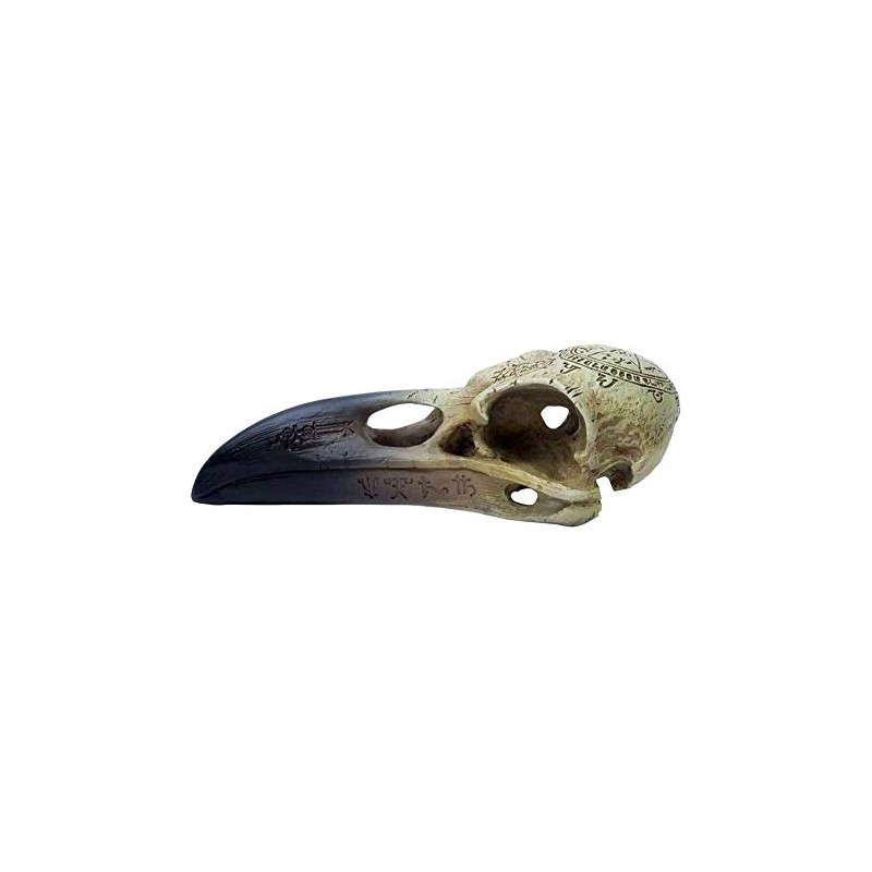 Omega Raven Skull