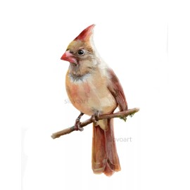 Red Cardinal. Print of an original watercolor painting. 5x7"with white mat 8x10"