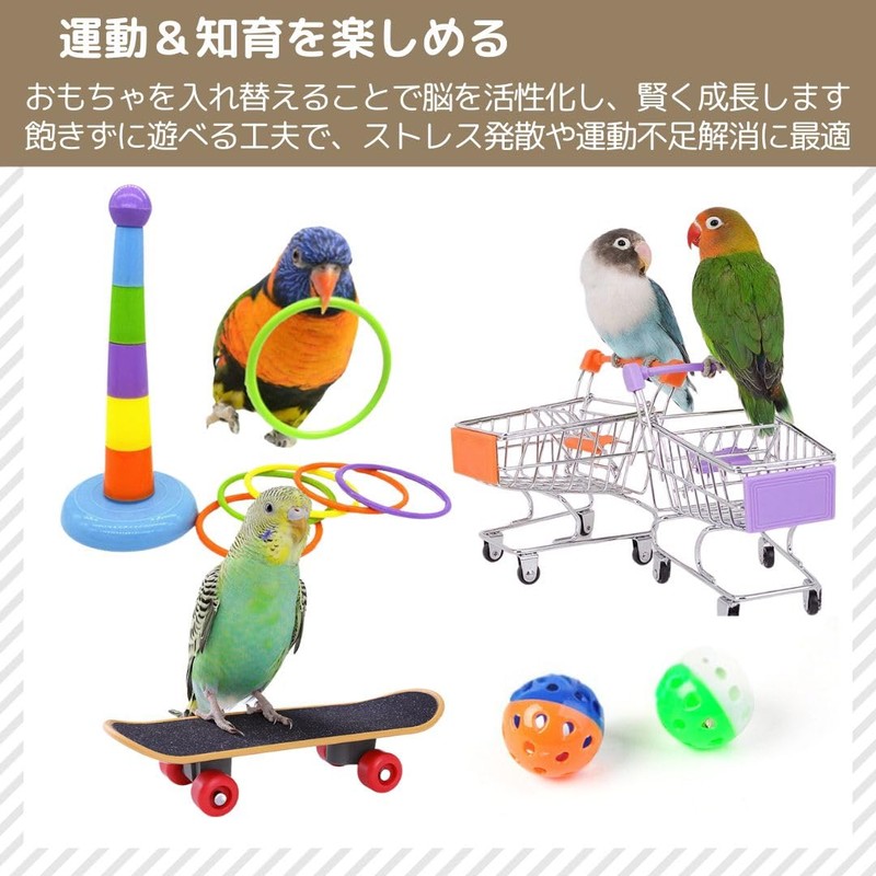 I'm so happy parakeet toy bird bird toy educational toy
