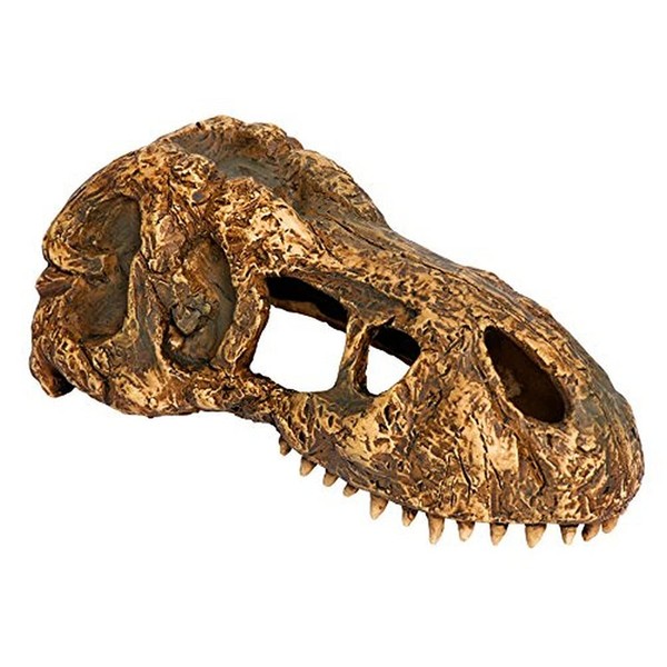 Exoterra T-Rex Skull Reptile / Amphibian Decoration Small