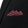 S&W SHLAX&WING Maroon Brick Red Pocket Square for Men Patterned