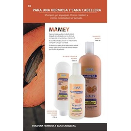 Hidro Crema Mamey para Peinar JOSS Fervier 414ml.