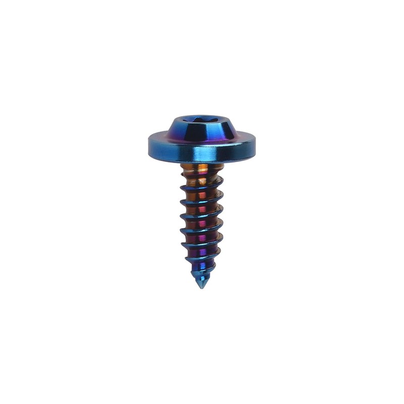 Wanyifa Titanium M4 M5 15 17 20mm Self Tapping Screw