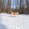 Reflective Dog Hunting Vest with Fleece Lining for Small Dogs,Hi-Visibility