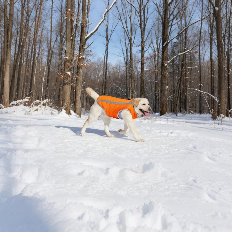 Reflective Dog Hunting Vest with Fleece Lining for Small Dogs,Hi-Visibility