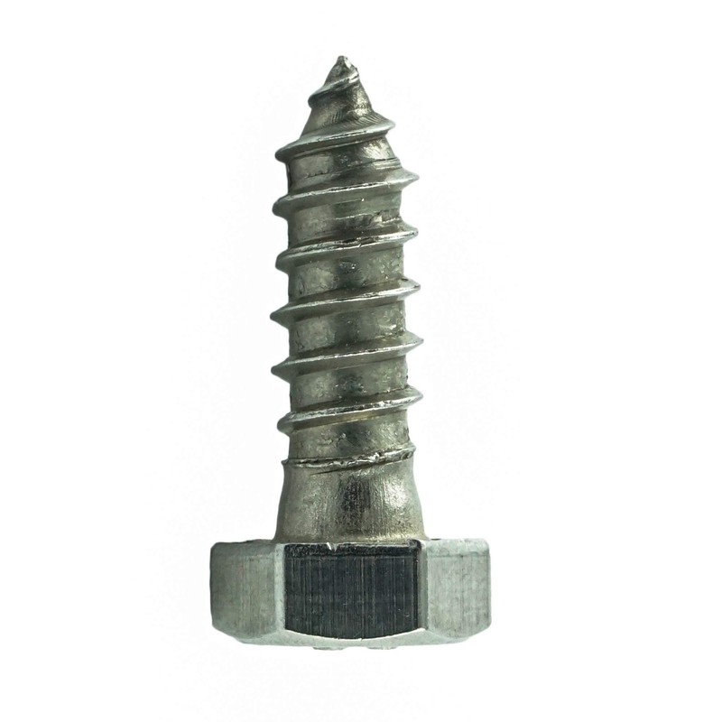 6 x 25 mm (Pack of 50) Hexagon Wood Screws