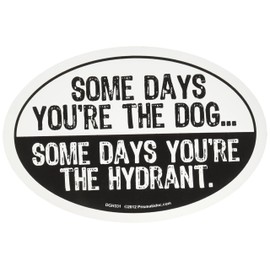 Prismatix Decal Cat and Dog Magnets, Some Days You're The Dog