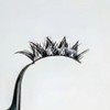 5 Pairs Wet Eyelashes False Eyelashes Japanese Thick Anime False
