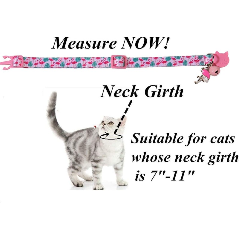 BoomBone Cactus Cat Collar with Bell and Matching Charm, 2