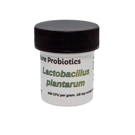 Pure Culture Probiotics (Lactobacillus plantarum) 10 g