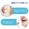 DXTECHPRO Interdental Brush, Interdental Cleaning, Carrying Case, Extra Fine, Kanbushi,