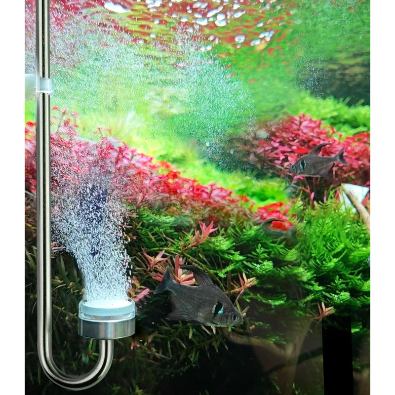 Clscea Aquarium Stainless Steel CO2 Diffuser Atomizer with Integrated Check