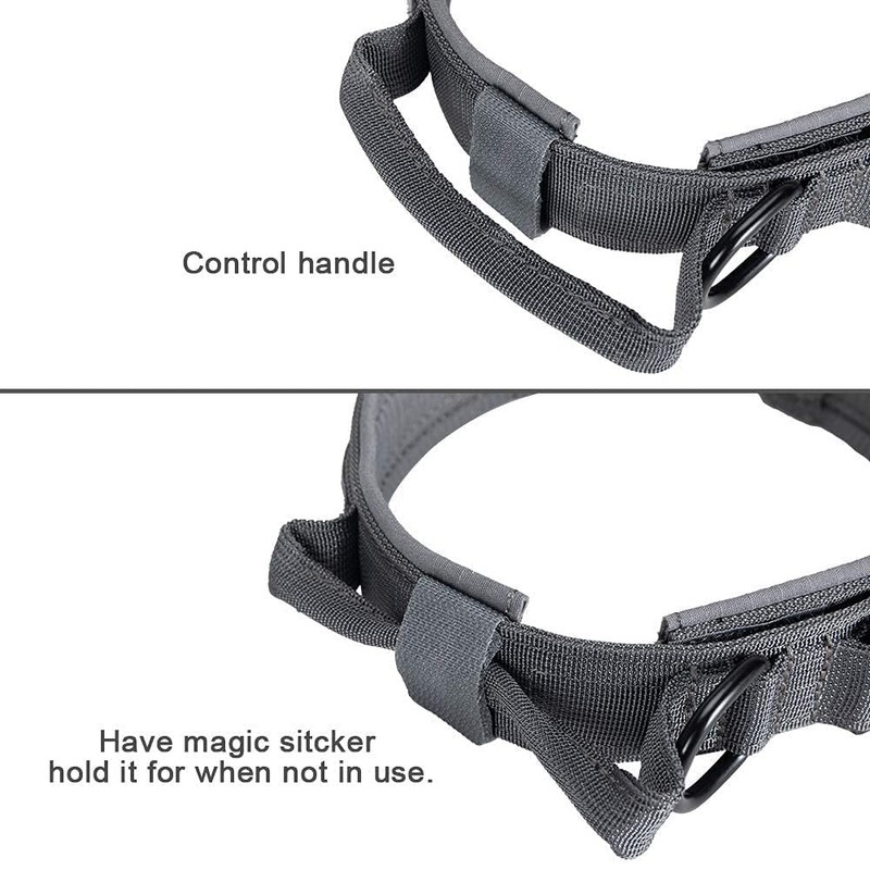 EXCELLENT ELITE SPANKER Dog Collar, Large, Nylon, Collar, For Military