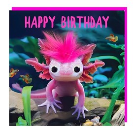 Tracks Publishing Funny Birthday Card - Happy Birthday Card with Humorous Axolotl Design and Fluff Embellishments - Birthday Card for Men/Women/Children