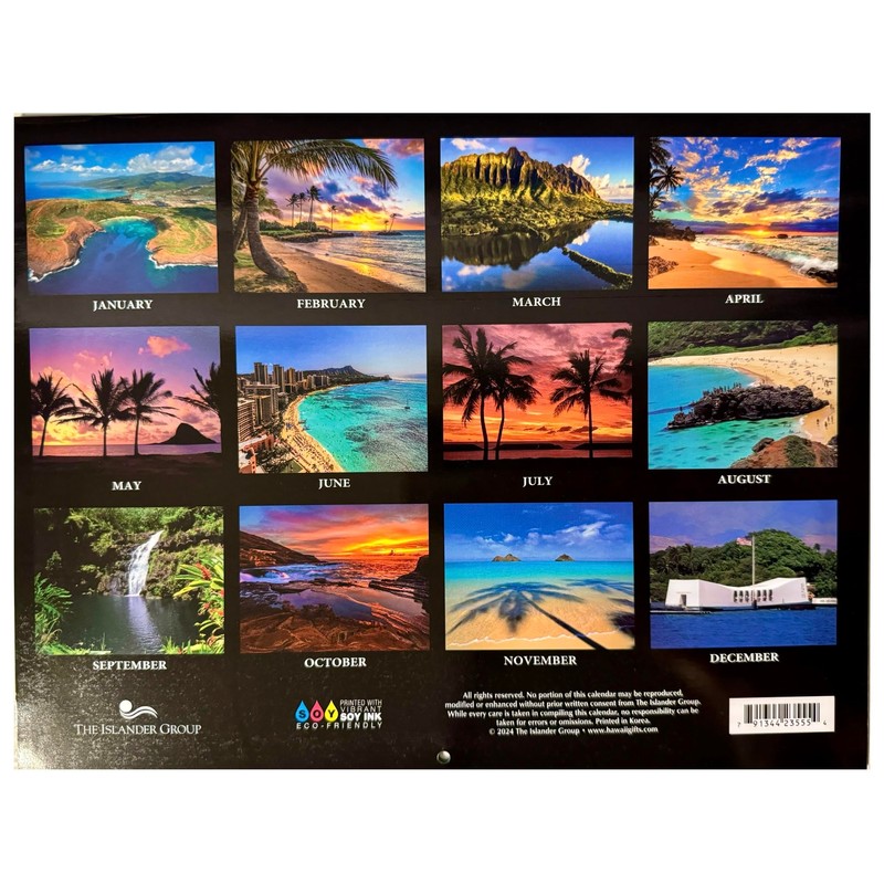 Islander Hawaii Hawaiian 2025 Twelve Month Wall Calendar (Aloha State