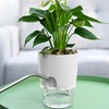 Relota Pack of 3 Flower Pot, White, 15.3 cm Width,