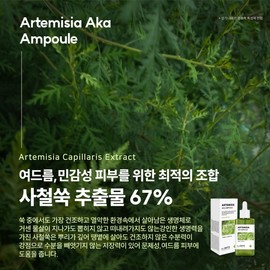 Santé Artemisia Subuji Aca Ampoule 100ml Troubled Pore Acne Skin Aca Toner 500ml+Pump / 상떼 아르테미시아 수부지 아카앰플100ml 트러블 모공 여드름피부 아카토너500ml+펌프