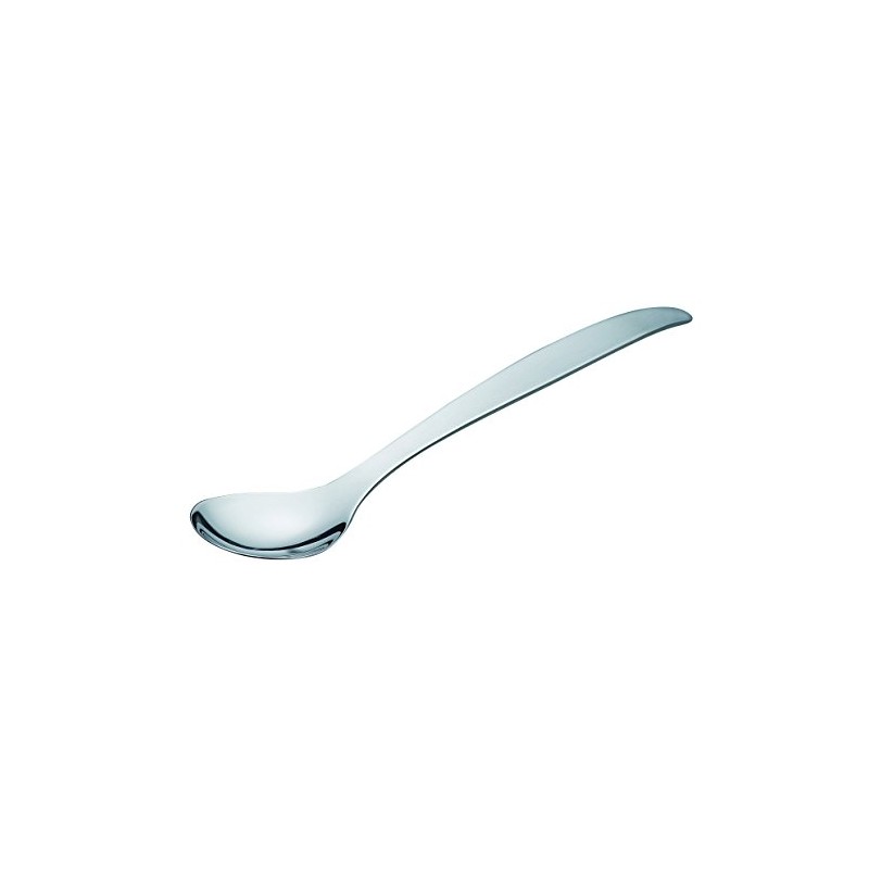 willassist Flat Light Spoon Small Package with 2240276