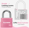 Puroma 2 Pack Keyed Padlock with 3 Keys Alike, 1.1